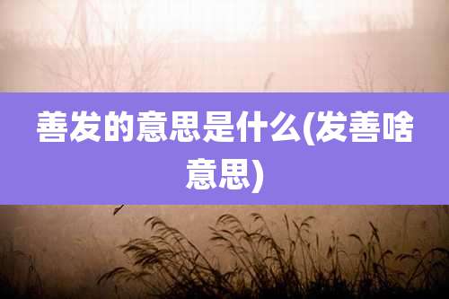 善发的意思是什么(发善啥意思)