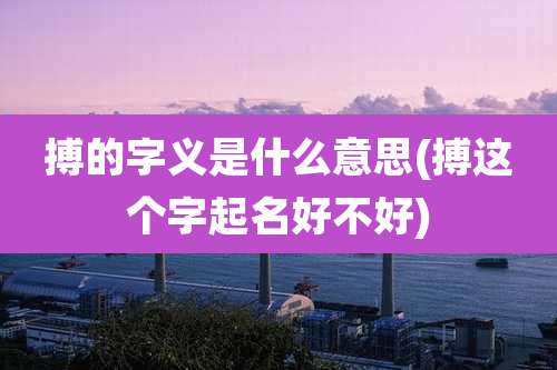 搏的字义是什么意思(搏这个字起名好不好)