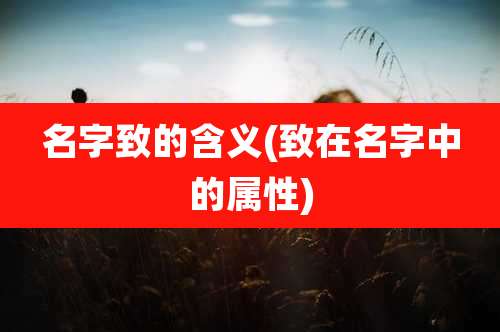 名字致的含义(致在名字中的属性)