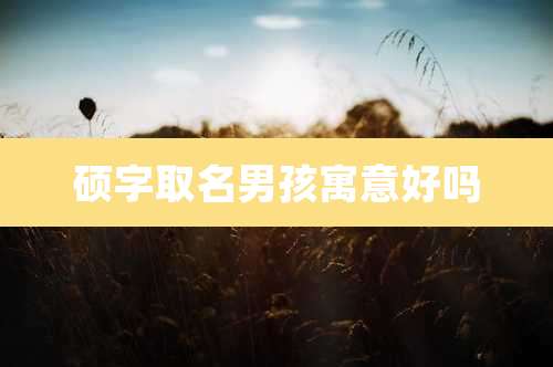 硕字取名男孩寓意好吗