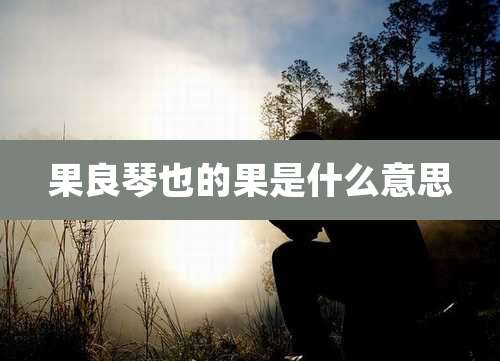 果良琴也的果是什么意思