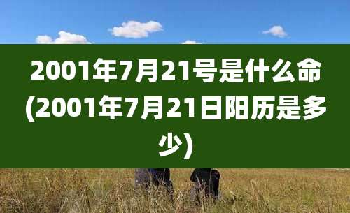 2001年7月21号是什么命(2001年7月21日阳历是多少)