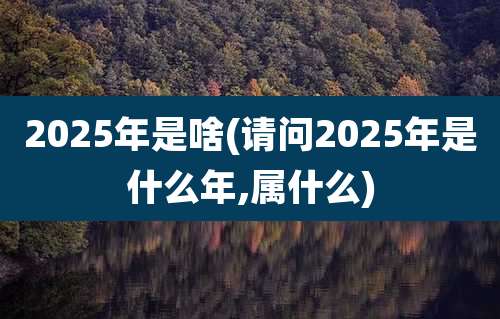 2025年是啥(请问2025年是什么年,属什么)
