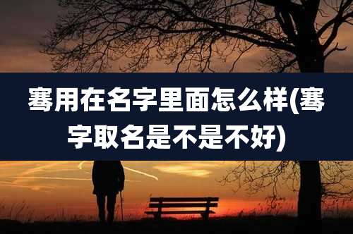 骞用在名字里面怎么样(骞字取名是不是不好)