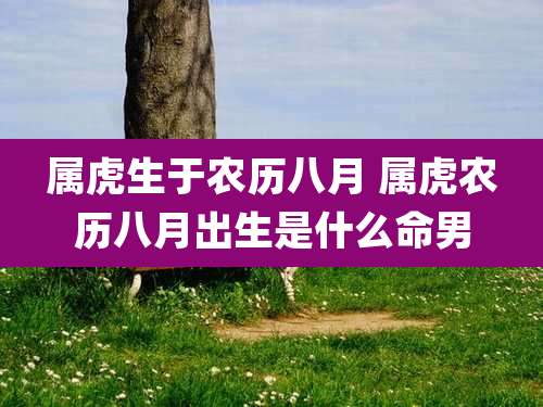 属虎生于农历八月 属虎农历八月出生是什么命男