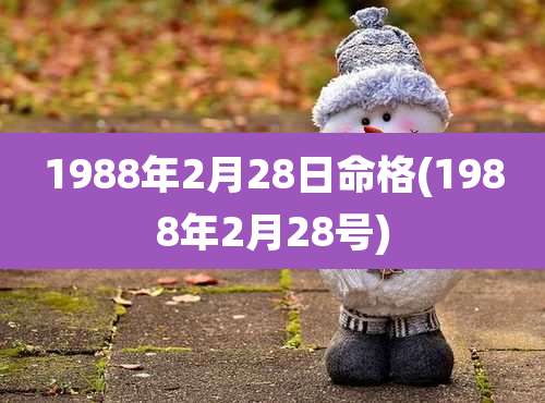1988年2月28日命格(1988年2月28号)