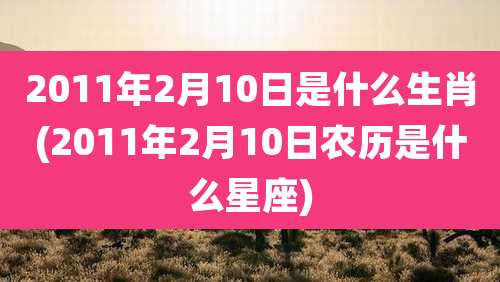 2011年2月10日是什么生肖(2011年2月10日农历是什么星座)