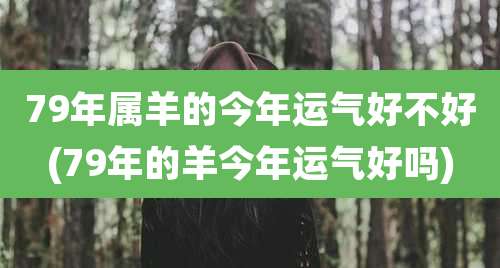 79年属羊的今年运气好不好(79年的羊今年运气好吗)