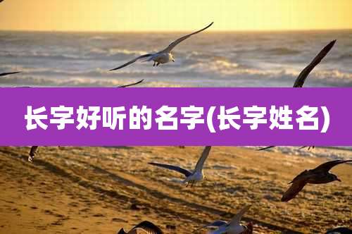 长字好听的名字(长字姓名)