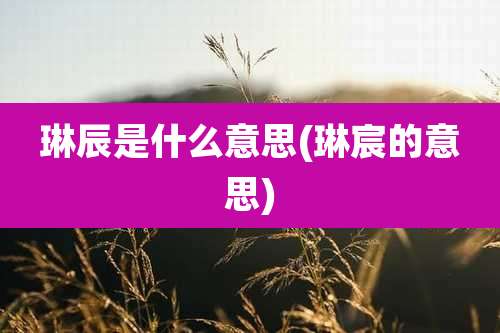 琳辰是什么意思(琳宸的意思)