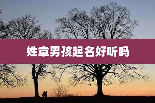 姓章男孩起名好听吗