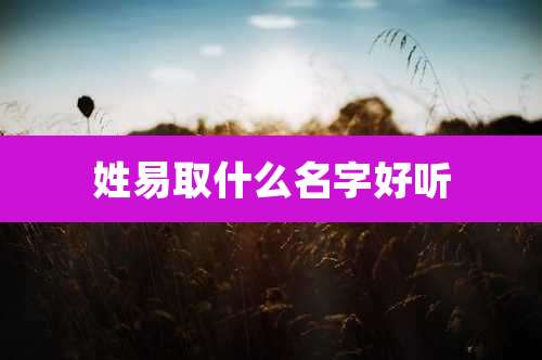 姓易取什么名字好听