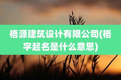 梧源建筑设计有限公司(梧字起名是什么意思)