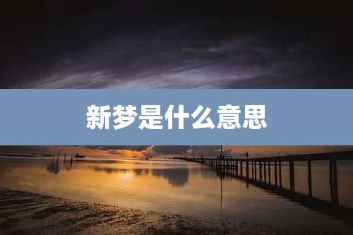 新梦是什么意思