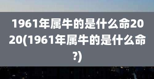 1961年属牛的是什么命2020(1961年属牛的是什么命?)