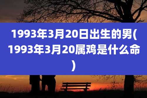 1993年3月20日出生的男(1993年3月20属鸡是什么命)