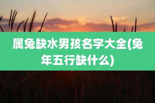属兔缺水男孩名字大全(兔年五行缺什么)