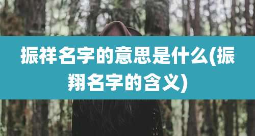 振祥名字的意思是什么(振翔名字的含义)