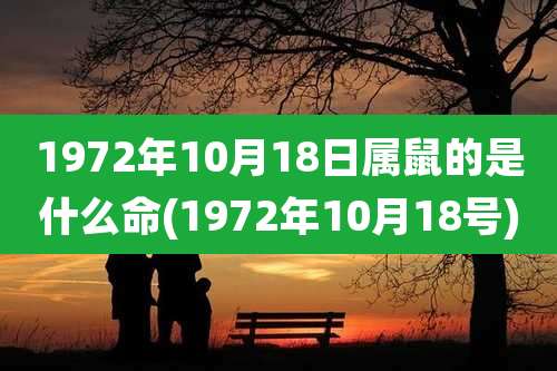 1972年10月18日属鼠的是什么命(1972年10月18号)