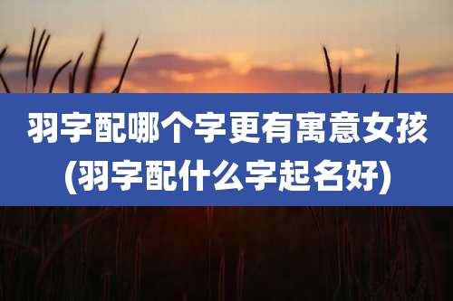 羽字配哪个字更有寓意女孩(羽字配什么字起名好)