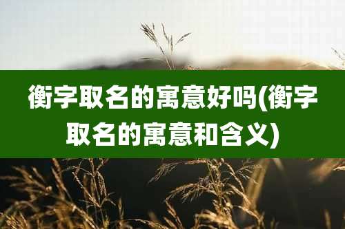 衡字取名的寓意好吗(衡字取名的寓意和含义)