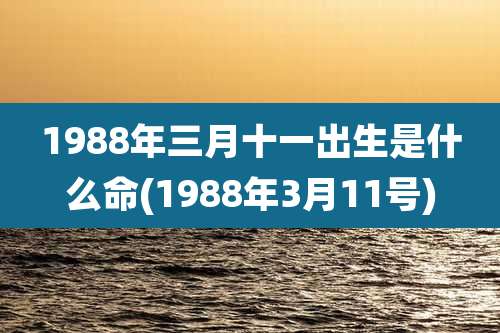 1988年三月十一出生是什么命(1988年3月11号)