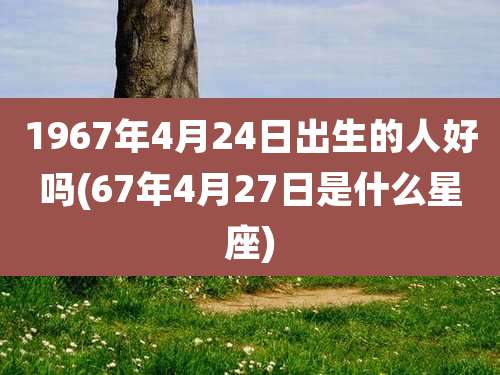 1967年4月24日出生的人好吗(67年4月27日是什么星座)