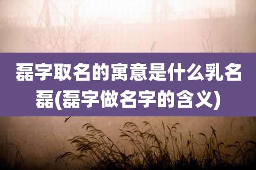 磊字取名的寓意是什么乳名磊(磊字做名字的含义)