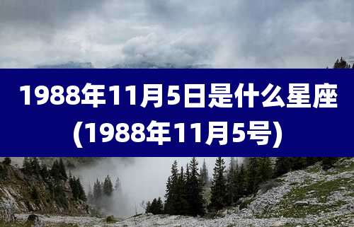 1988年11月5日是什么星座(1988年11月5号)