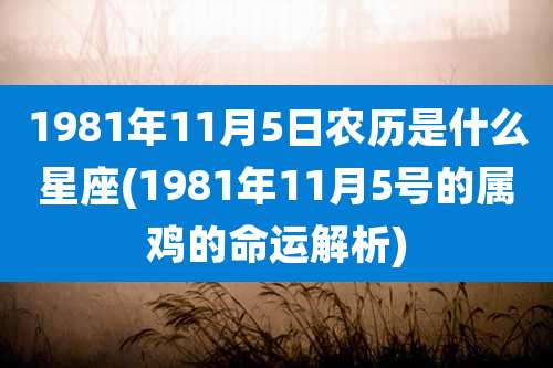 1981年11月5日农历是什么星座(1981年11月5号的属鸡的命运解析)