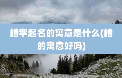 皓字起名的寓意是什么(皓的寓意好吗)