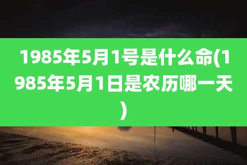 1985年5月1号是什么命(1985年5月1日是农历哪一天)