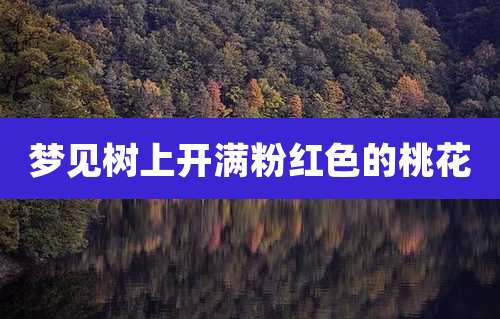 梦见树上开满粉红色的桃花