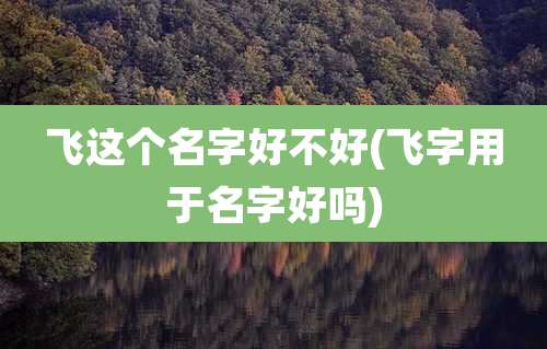 飞这个名字好不好(飞字用于名字好吗)