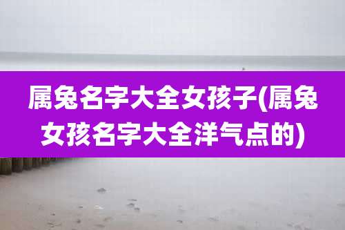 属兔名字大全女孩子(属兔女孩名字大全洋气点的)