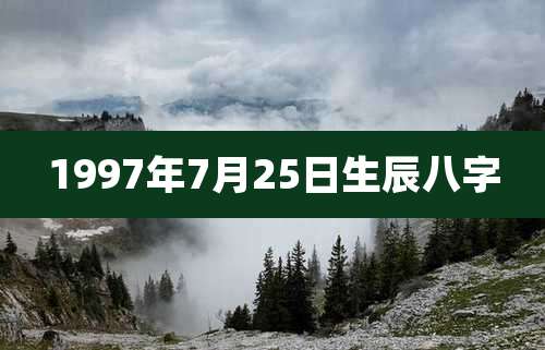 1997年7月25日生辰八字
