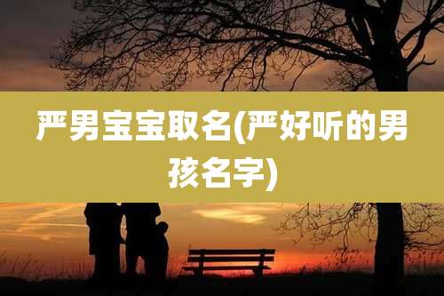严男宝宝取名(严好听的男孩名字)