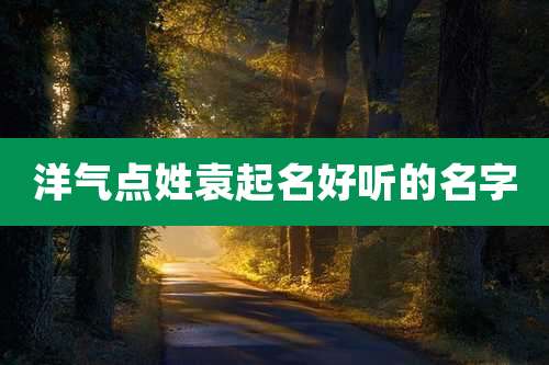 洋气点姓袁起名好听的名字