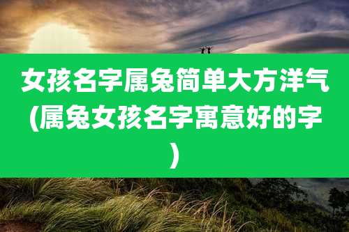 女孩名字属兔简单大方洋气(属兔女孩名字寓意好的字)