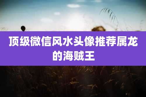 顶级微信风水头像推荐属龙的海贼王