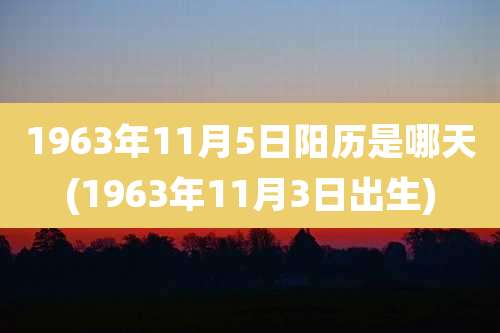1963年11月5日阳历是哪天(1963年11月3日出生)