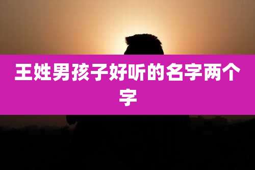 王姓男孩子好听的名字两个字