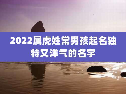 2022属虎姓常男孩起名独特又洋气的名字