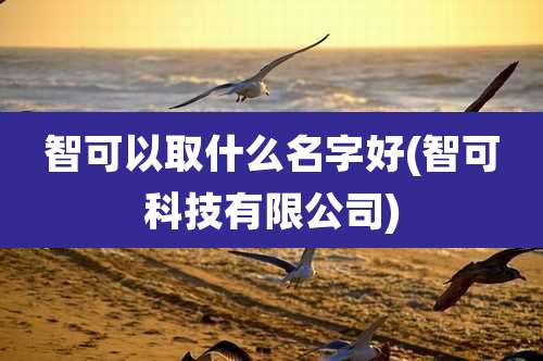 智可以取什么名字好(智可科技有限公司)