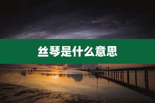 丝琴是什么意思