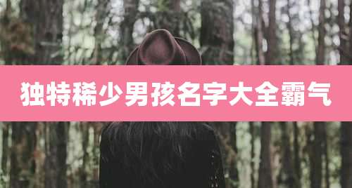 独特稀少男孩名字大全霸气