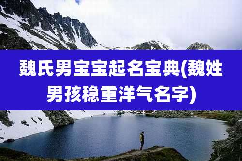 魏氏男宝宝起名宝典(魏姓男孩稳重洋气名字)