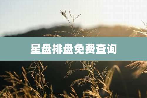 星盘排盘免费查询