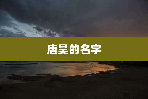 唐昊的名字