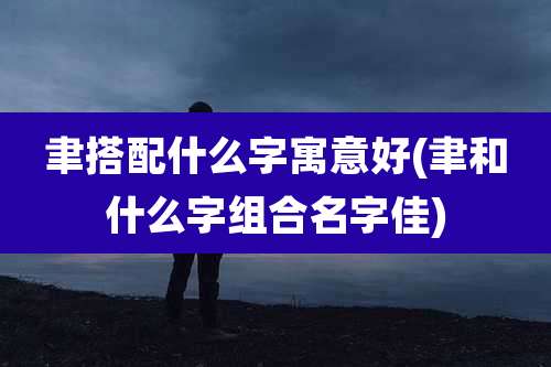 聿搭配什么字寓意好(聿和什么字组合名字佳)